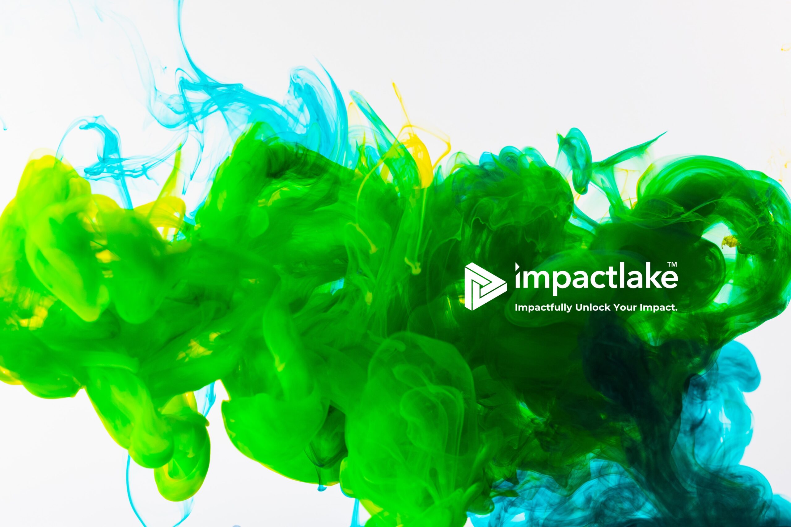 Related terms and definitions impactlake global
